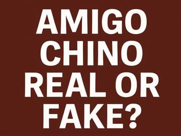 Amigo Chino Fake or Real: Unveiling the Truth Behind the Phenomenon