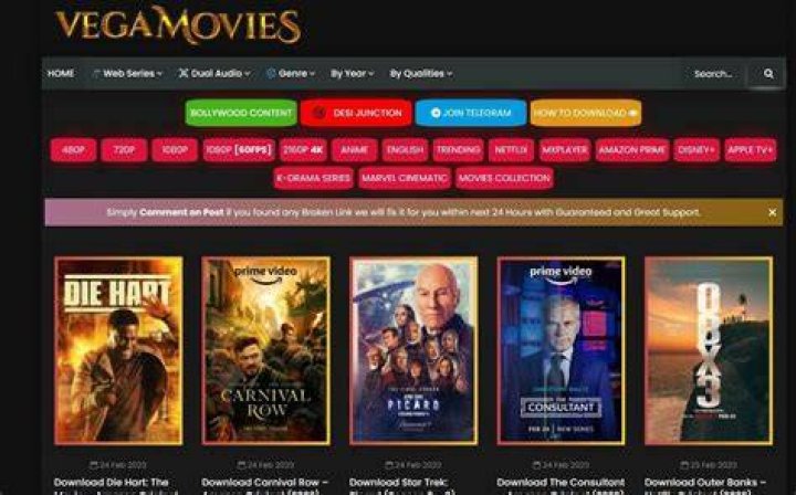 Best Vegamovies Netflix Downloads and Free Streaming Options