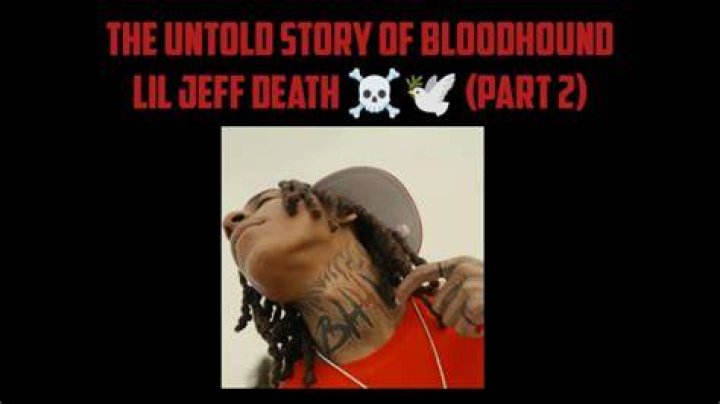 Bloodhound Lil Jeff Dead: Exploring His Life, Legacy, and Impact