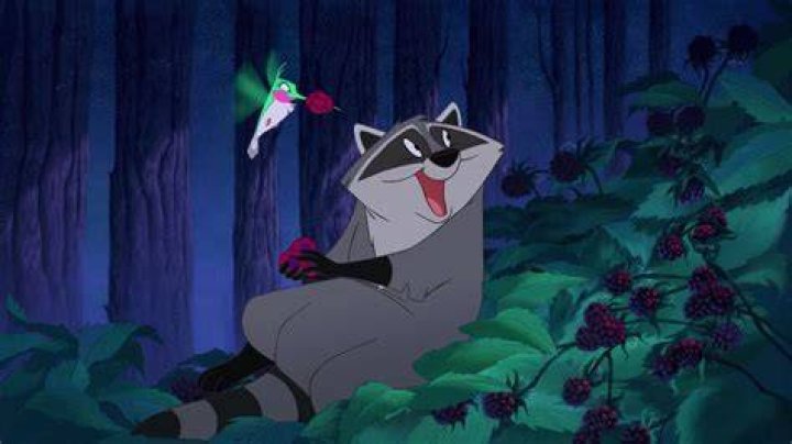 Discover the Magic of Disney Raccoon Pocahontas: A Fascinating Journey