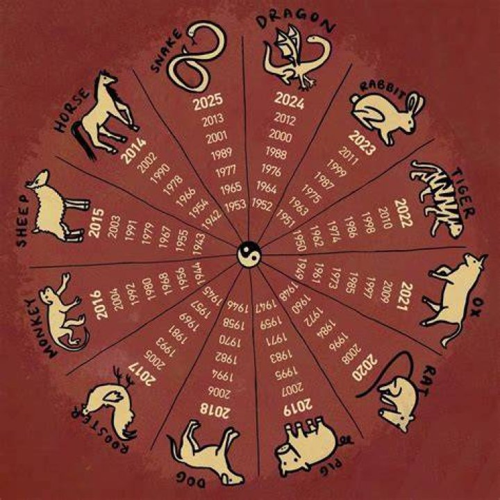 Discover the Mystical 1991 Lunar Animal: Insights, Symbolism, and More
