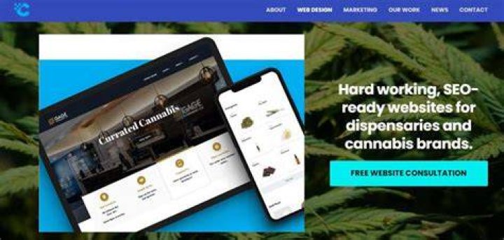 Dispensary Web Design: The Ultimate Guide to Building a Successful Cannabis Website