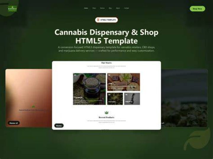 Dispensary Website Design: A Comprehensive Guide to Building a Successful Cannabis Website