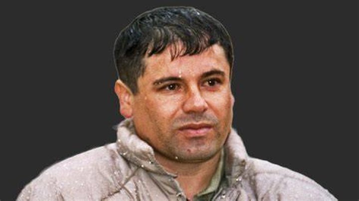 El Chapo Net Worth: The Rise, Fall, and Financial Empire of a Notorious Drug Lord