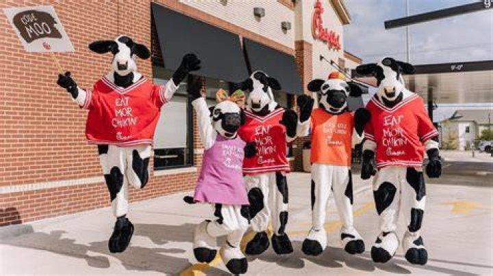 Gina Chick-fil-A Age: The Fascinating Story Behind the Iconic Cow