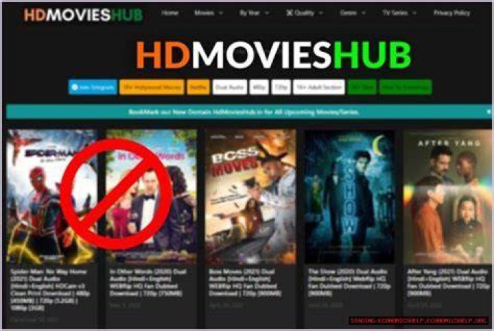 HDMoviesHub 2024: Your Ultimate Guide to Movie Downloads