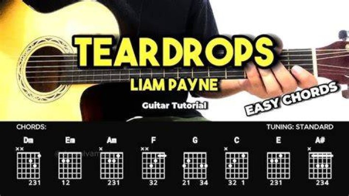 Liam Payne - Teardrops Chords & Lyrics | Easy Guitar Tabs
