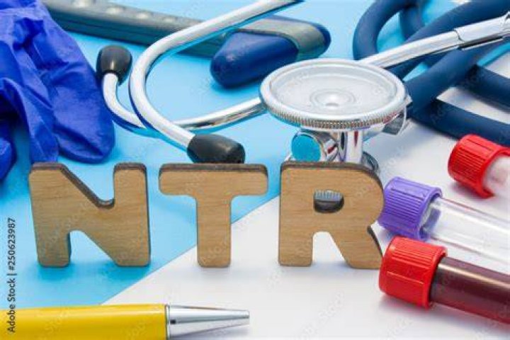 NTR Acronym: Understanding Its Meaning, Usage, and Impact