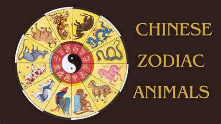 Unlocking the Secrets of the 19991 Chinese Zodiac: A Complete Guide