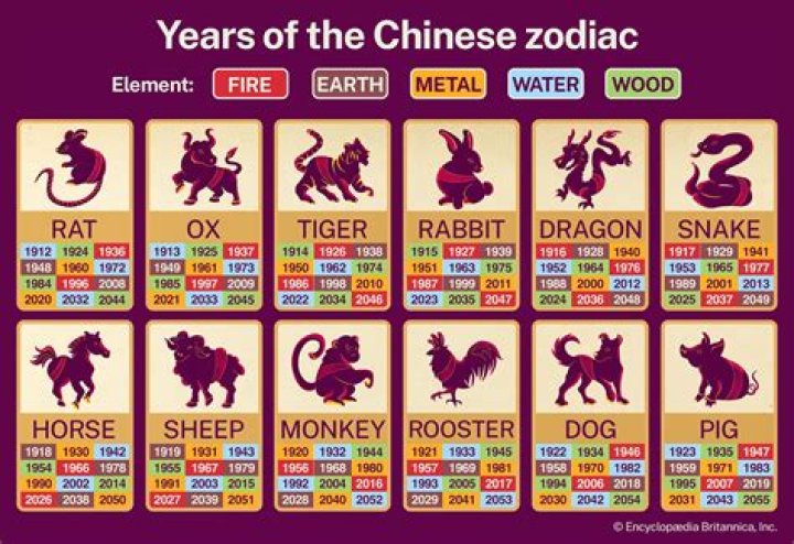 Unveiling the Mysteries of Chinese Zodiac Signs 1991: Insights and Meanings