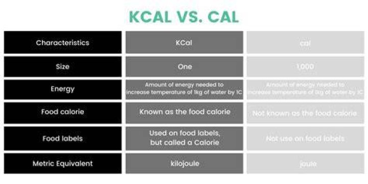 What Does kcal Stand For? A Comprehensive Guide to Understanding Calories