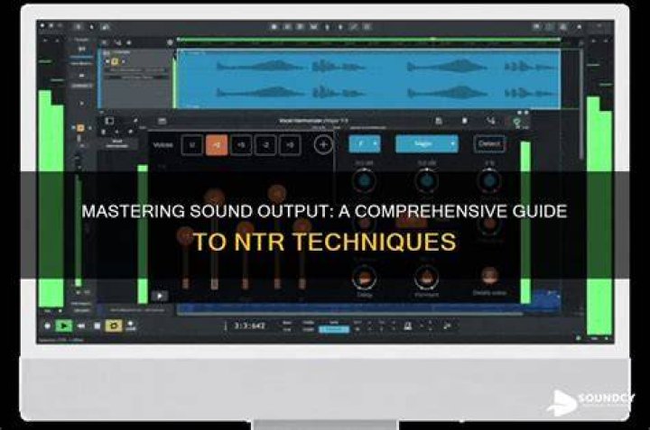 What is NTR Stands For? A Comprehensive Guide to Understanding NTR and Its Relevance