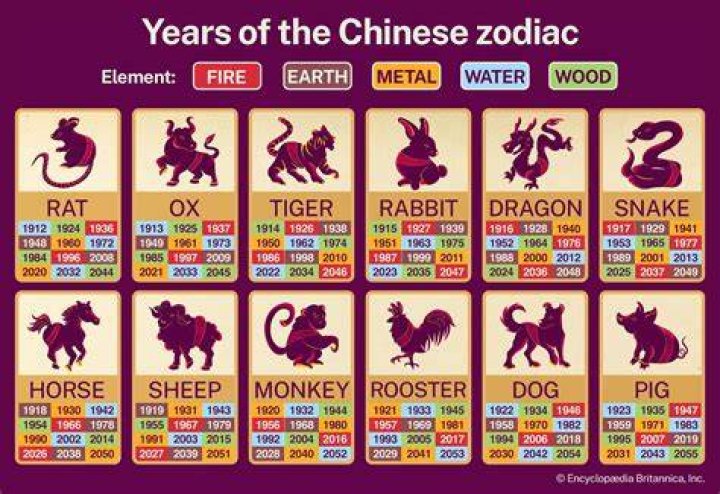 What Year is 1991 in Chinese Zodiac: Insights and Significance